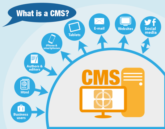 What is a CMS image